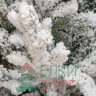 Искусственная елка Имперская заснеженная 180 см., литая хвоя+пвх, ЕлкиТорг (145180)
