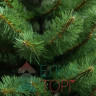 Искусственная елка Дивная 240 см., мягкая хвоя, ЕлкиТорг (13240)