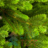 Искусственная елка Мисхор 150 см., 100% литая, ЕлкиТорг (136150)